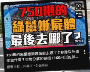 Read more about the article 15公克黑水虻 Vs 100000公克綠鬣蜥屍體 ! (資料來源：youtube)