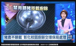 Read more about the article 禁廚餘養豬影響載運意願 北市明起恢復養豬業者清運｜20251121 公視晚間新聞