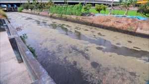 Read more about the article 畜牧糞尿何處去？沼液沼渣待解難題–我們的島