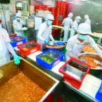 每日廚餘500噸…校園剩食去化壓力大 教團：應有再利用機制 (聯合新聞網)