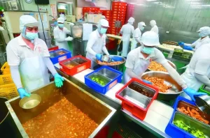 Read more about the article 每日廚餘500噸…校園剩食去化壓力大 教團：應有再利用機制 (聯合新聞網)
